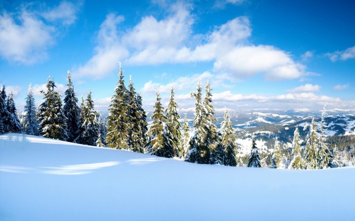 Обои на рабочий стол / Nature Wallpapers 673