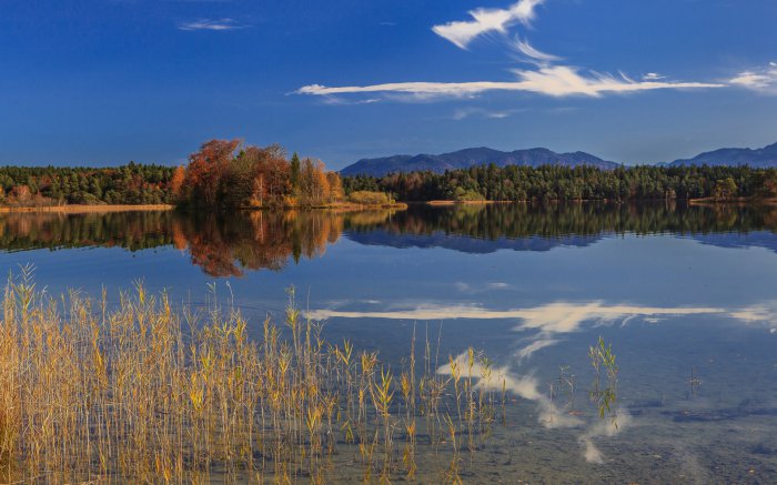 Обои на рабочий стол / Nature Wallpapers 673