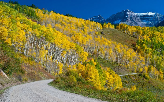 Обои на рабочий стол / Nature Wallpapers 673