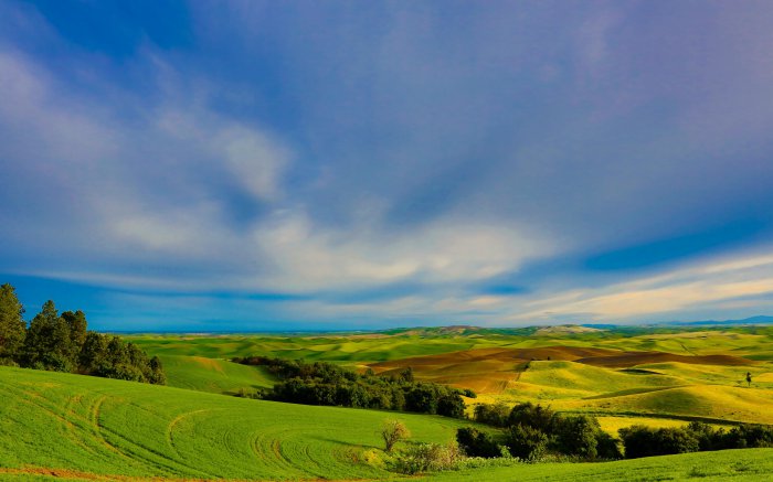 Обои на рабочий стол / Nature Wallpapers 673