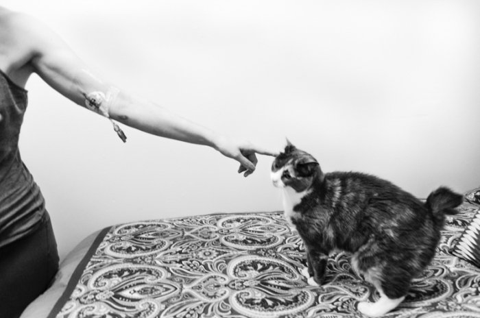 Битва, которую мы не выбирали