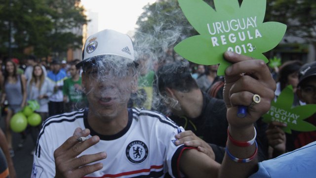 Уругвай полностью легализовал марихуану