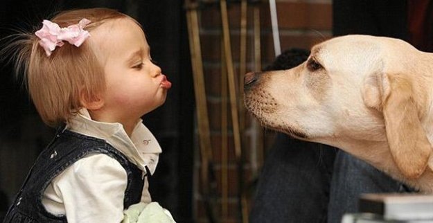 СОБАКИ И ДЕТИ СОБАКИ И ДЕТИ