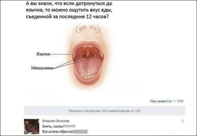 Гениальные комментарии из социальных сетей