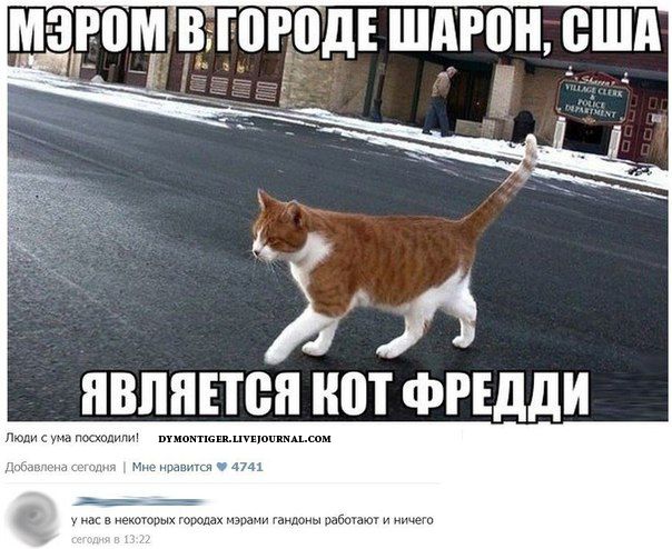 Говорят социальные сети!