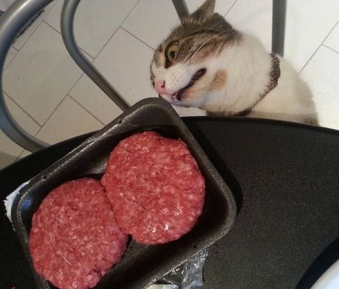 Забавные картинки