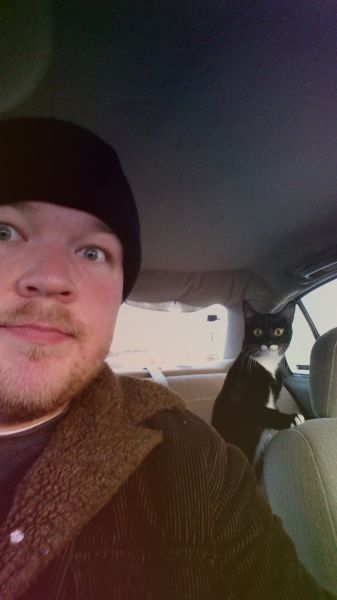 Забавные картинки