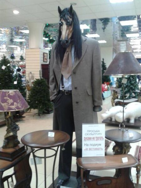 Забавные картинки