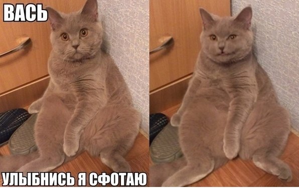 Забавные картинки