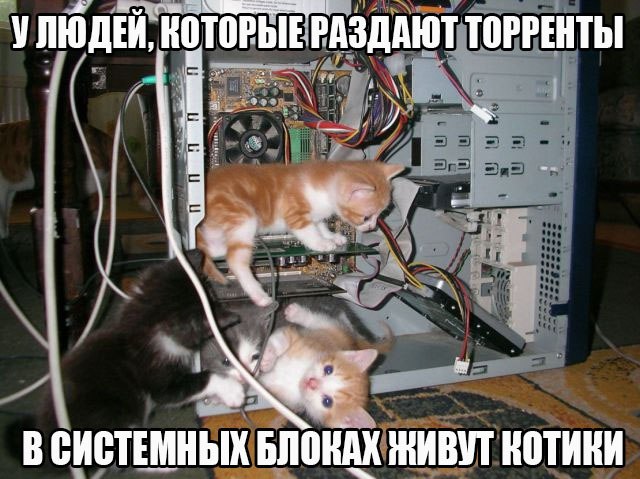 Забавные картинки