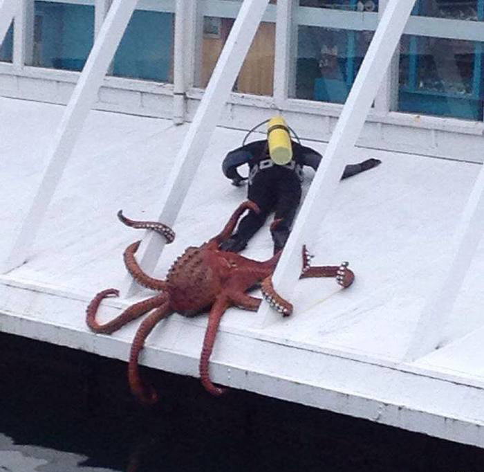 Забавные картинки