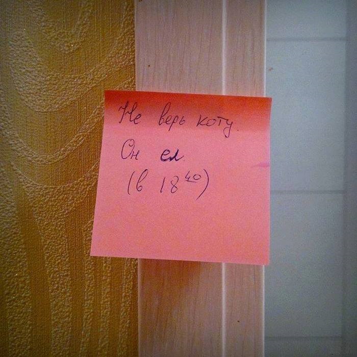 Забавные картинки