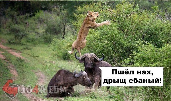 Советы и правила от DO4A