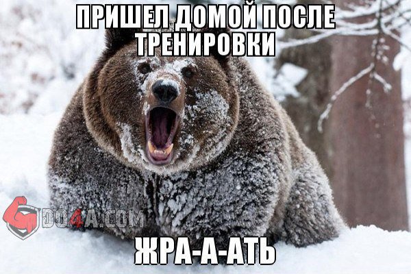 Советы и правила от DO4A