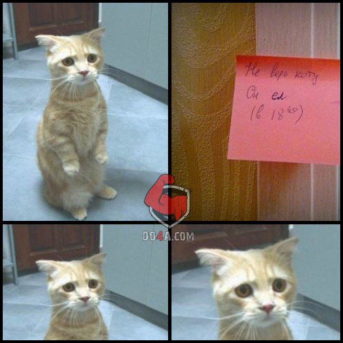 Советы и правила от DO4A