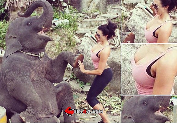 Советы и правила от DO4A