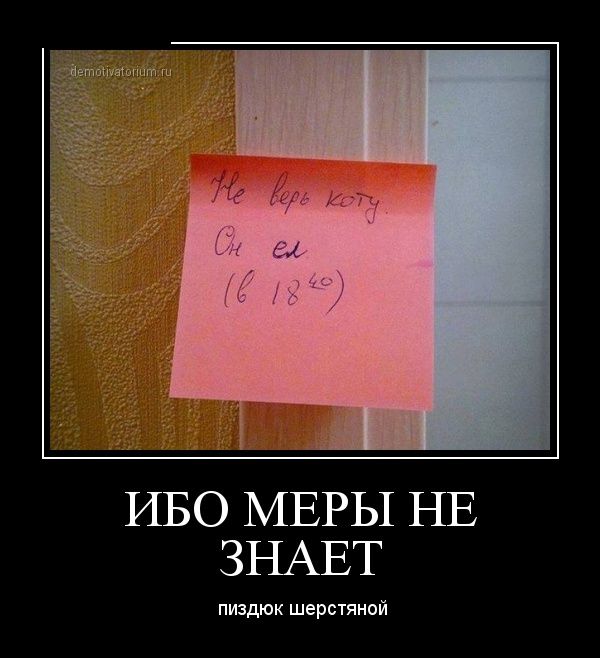 Демотиваторы