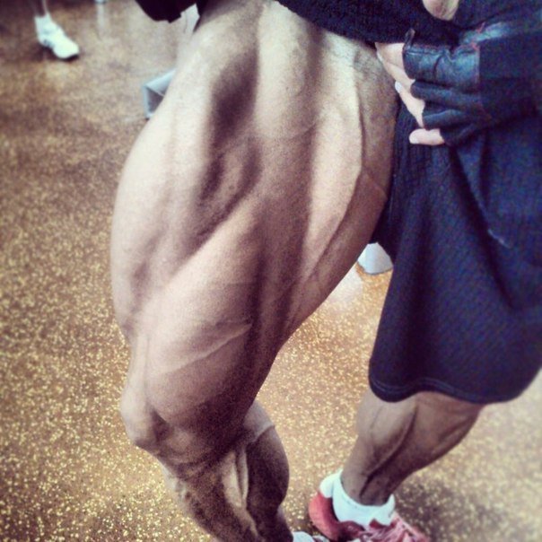 Качата и фитоняшки (Warez Версия)