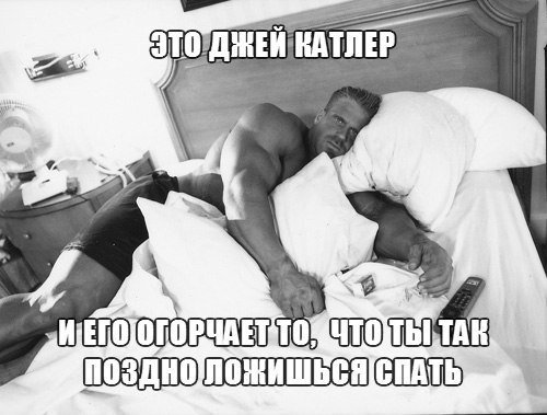 Качата и фитоняшки (Warez Версия)