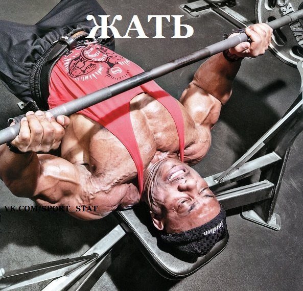 Качата и фитоняшки (Warez Версия)