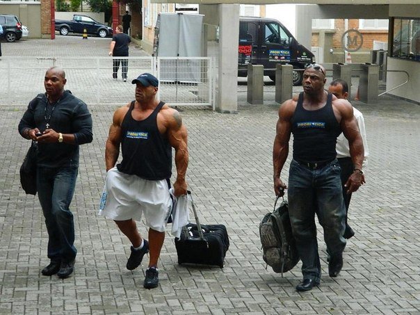 Качата и фитоняшки (Warez Версия)