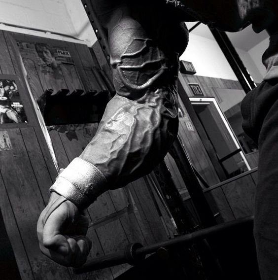 Качата и фитоняшки (Warez Версия)