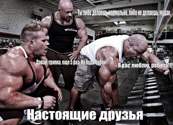 Качата и фитоняшки (Warez Версия)