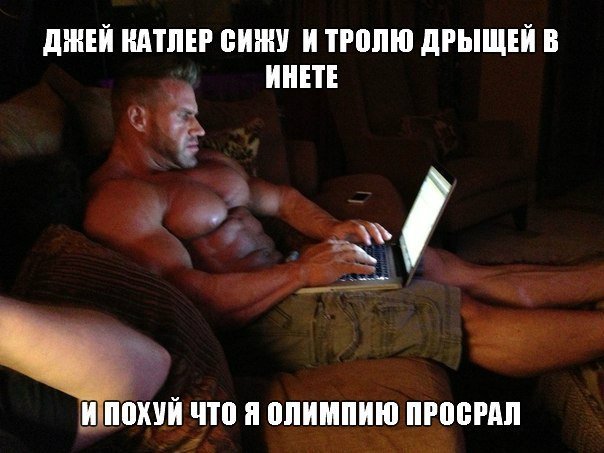 Качата и фитоняшки (Warez Версия)