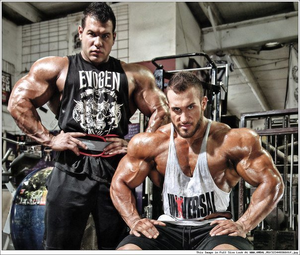 Качата и фитоняшки (Warez Версия)