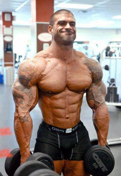 Качата и фитоняшки (Warez Версия)