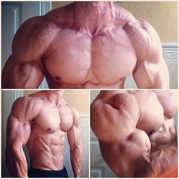 Качата и фитоняшки (Warez Версия)