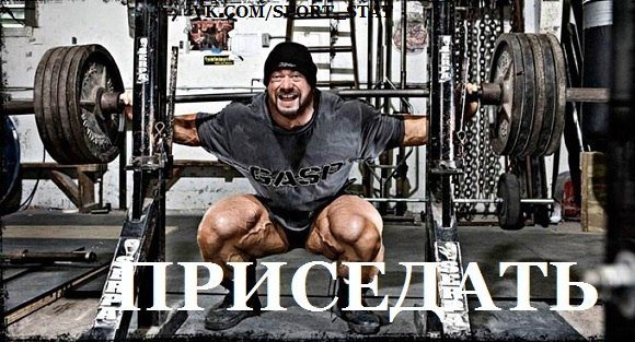 Качата и фитоняшки (Warez Версия)