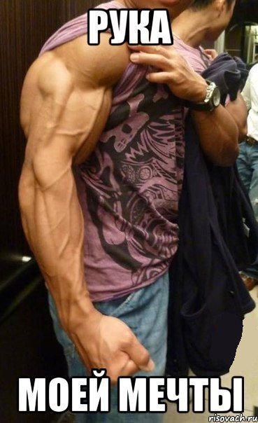 Качата и фитоняшки (Warez Версия)