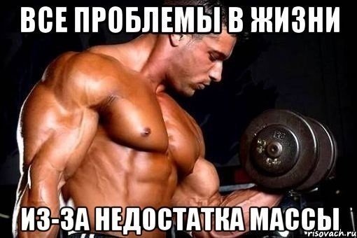 Качата и фитоняшки (Warez Версия)