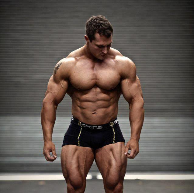 Качата и фитоняшки (Warez Версия)