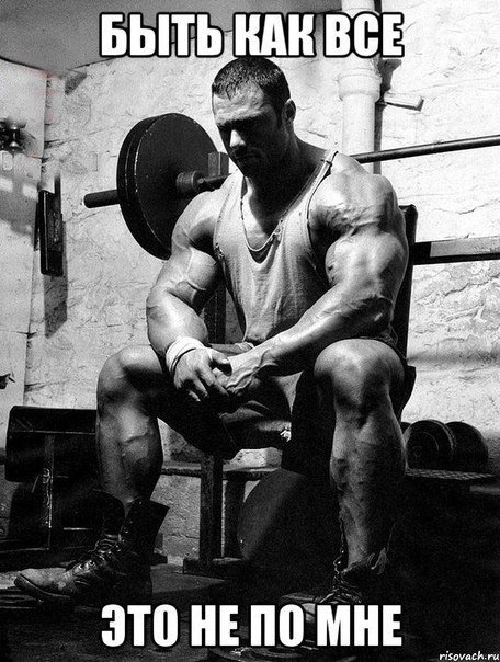 Качата и фитоняшки (Warez Версия)