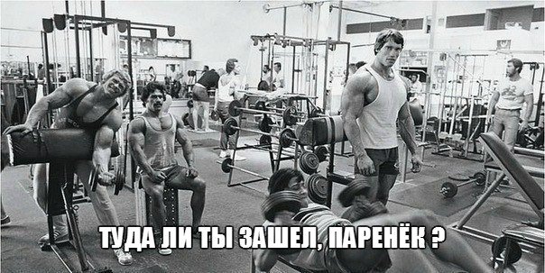 Качата и фитоняшки (Warez Версия)