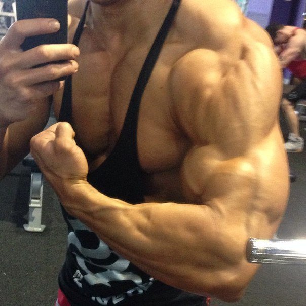 Качата и фитоняшки (Warez Версия)