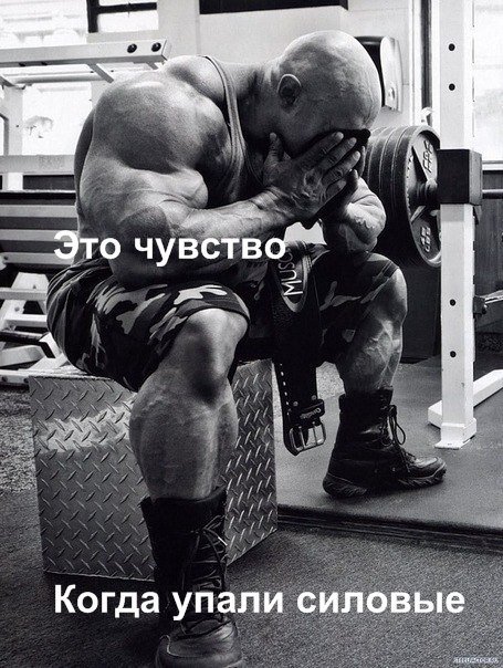 Качата и фитоняшки (Warez Версия)