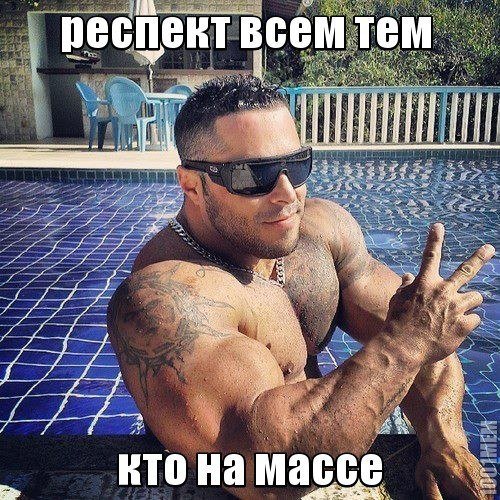 Качата и фитоняшки (Warez Версия)