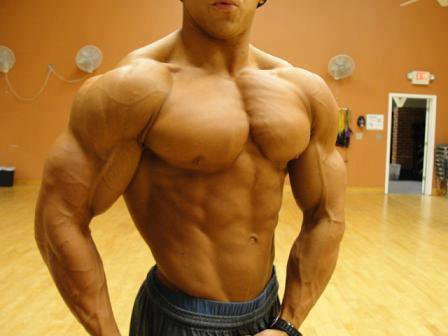 Качата и фитоняшки (Warez Версия)