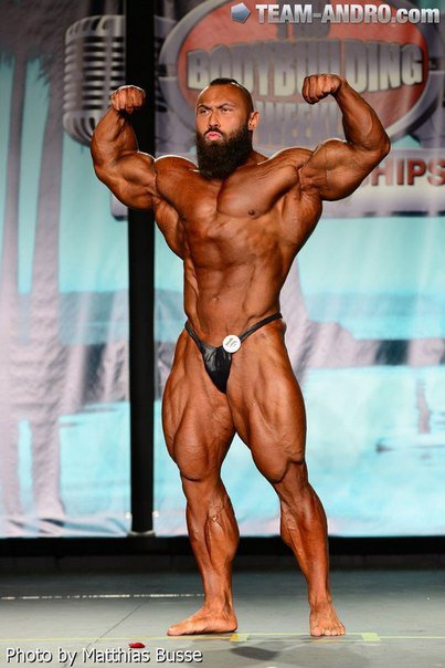 Качата и фитоняшки (Warez Версия)