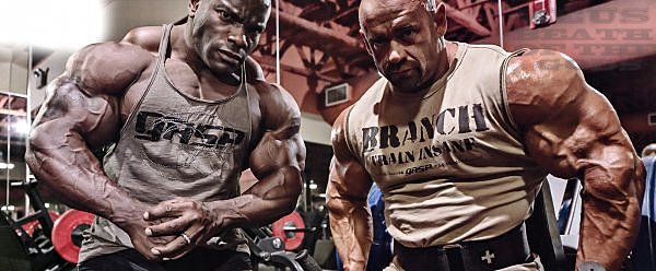 Качата и фитоняшки (Warez Версия)