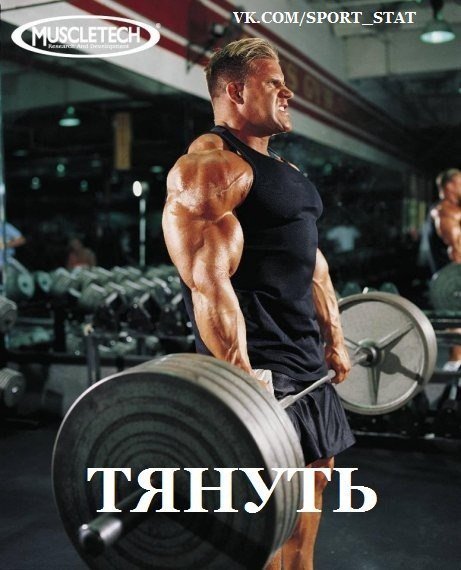 Качата и фитоняшки (Warez Версия)