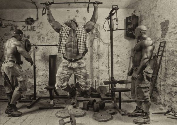 Качата и фитоняшки (Warez Версия)