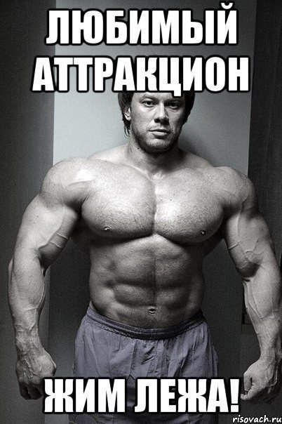 Качата и фитоняшки (Warez Версия)