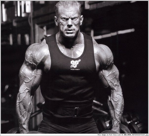 Качата и фитоняшки (Warez Версия)