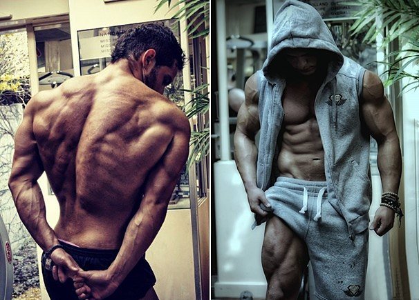 Качата и фитоняшки (Warez Версия)