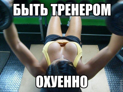 Качата и фитоняшки (Warez Версия)