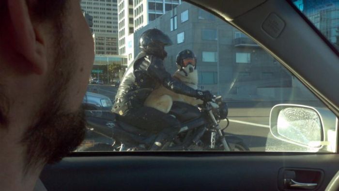 Забавные картинки